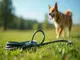 flexi-leine-mit-schlaufe-das-ideale-zubehoer-fuer-ihren-hund