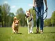 flexi-leine-vario-die-flexible-all-in-one-loesung-fuer-hundebesitzer