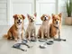 flexileine-kleine-hunde-welche-modelle-sind-wirklich-empfehlenswert