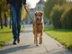 leinenpflicht-luebeck-was-hundebesitzer-wissen-muessen
