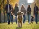 leinenpflicht-quedlinburg-regeln-bussgelder-und-tipps-fuer-hundehalter