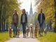 leinenpflicht-rostock-die-wichtigsten-regeln-fuer-hundehalter