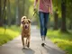 leinenpflicht-taunusstein-was-hundebesitzer-wissen-sollten