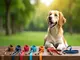leinenpflicht-traunstein-alles-was-du-zur-hundehaltung-wissen-musst