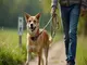 leinenpflicht-tschechien-was-gilt-fuer-hunde-im-nachbarland