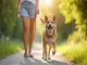 leinenpflicht-ungarn-das-sollten-hundehalter-im-urlaub-beachten