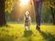 leinenpflicht-unna-was-hundehalter-jetzt-wissen-muessen