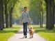 leinenpflicht-zwickau-diese-regeln-gelten-fuer-hundebesitzer